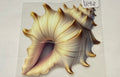 D146 shell