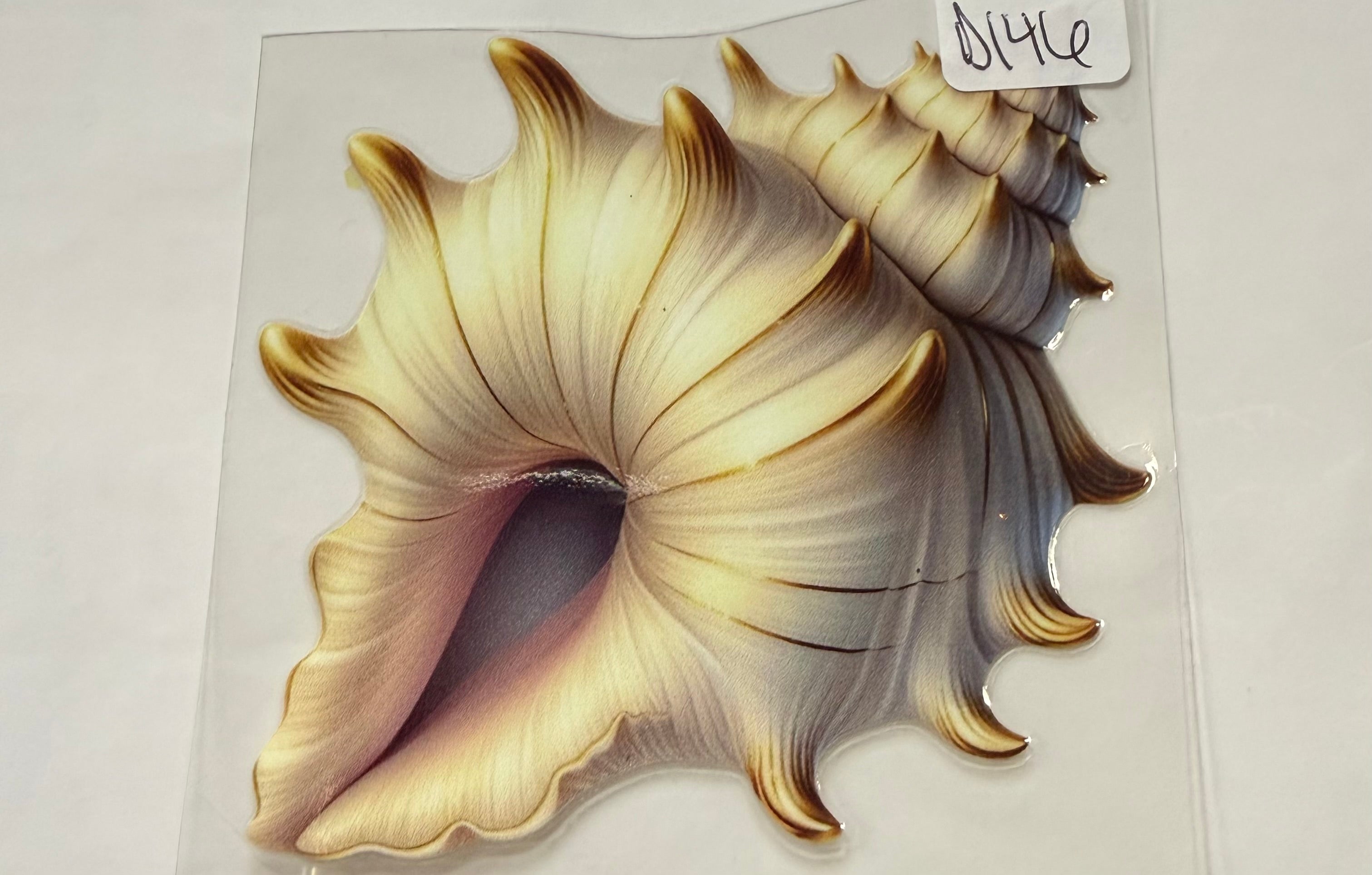 D146 shell