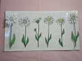 268 Flowers