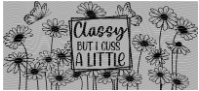 114 classy but i cuss a little