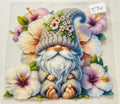 576 gnome
