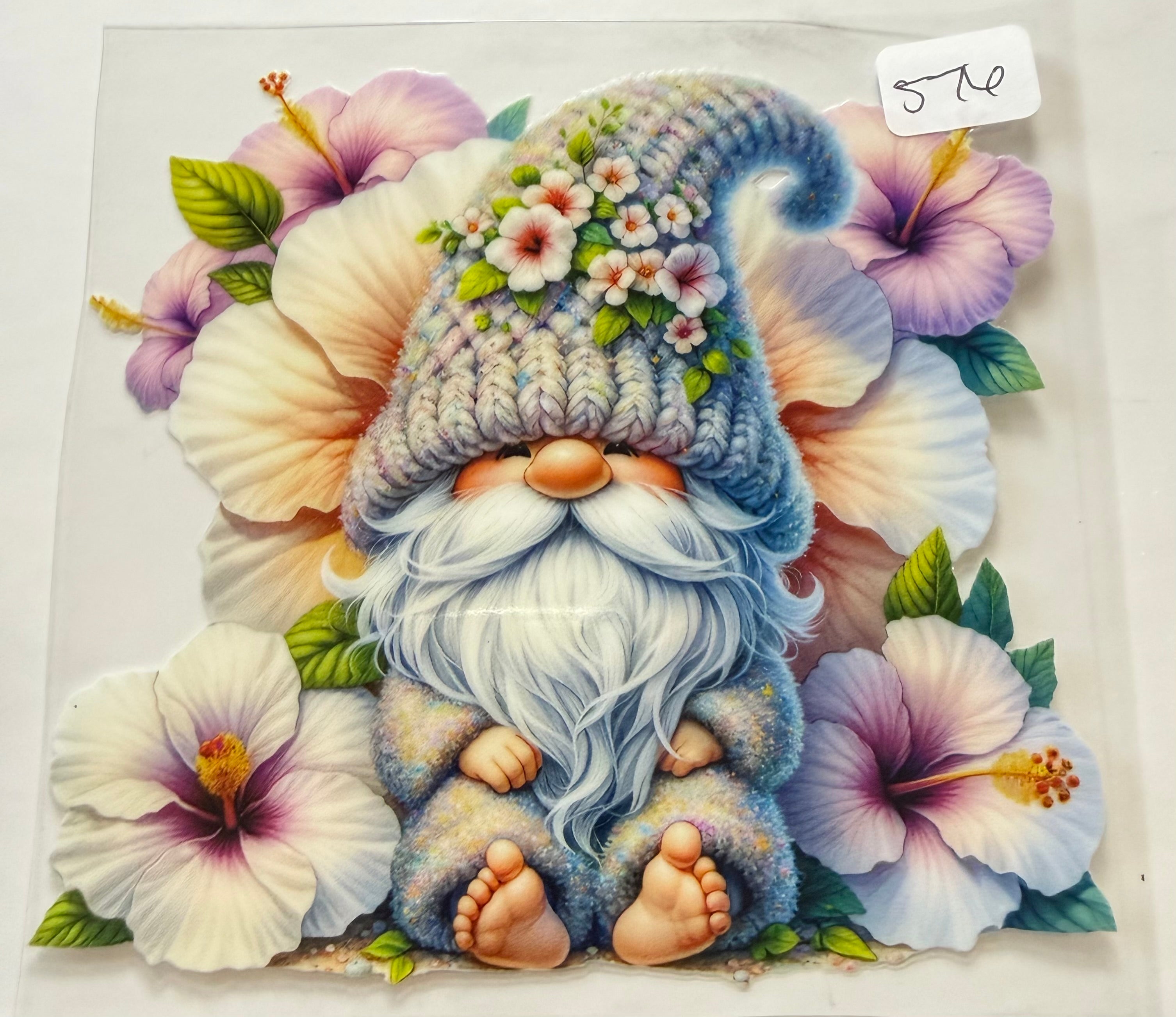 576 gnome