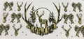 351 Deer