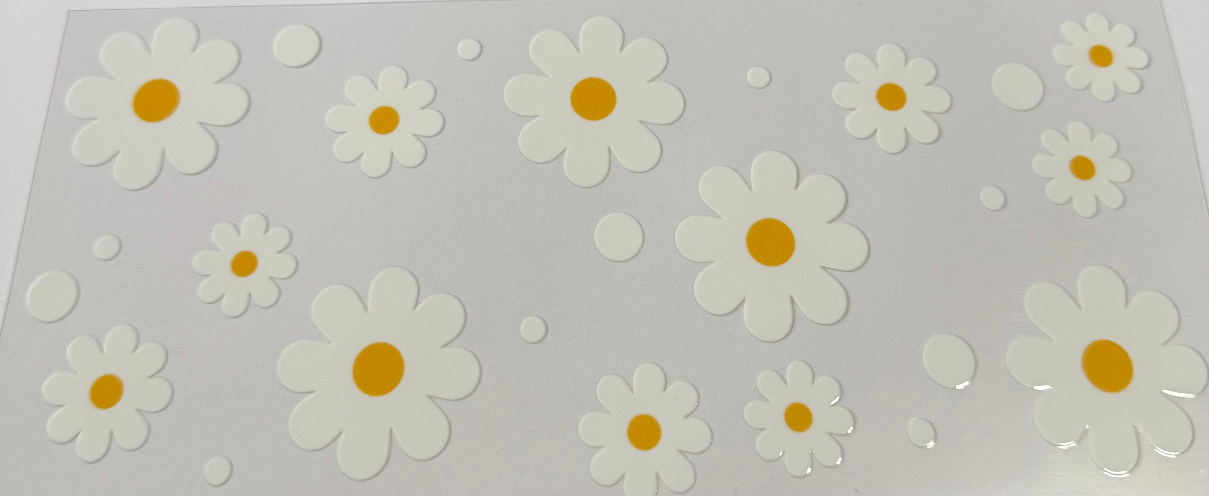 659 Daisy flowers