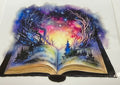 529 Book