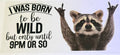 265 Funny raccoon