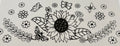 663 Sunflower