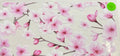 415 flowers