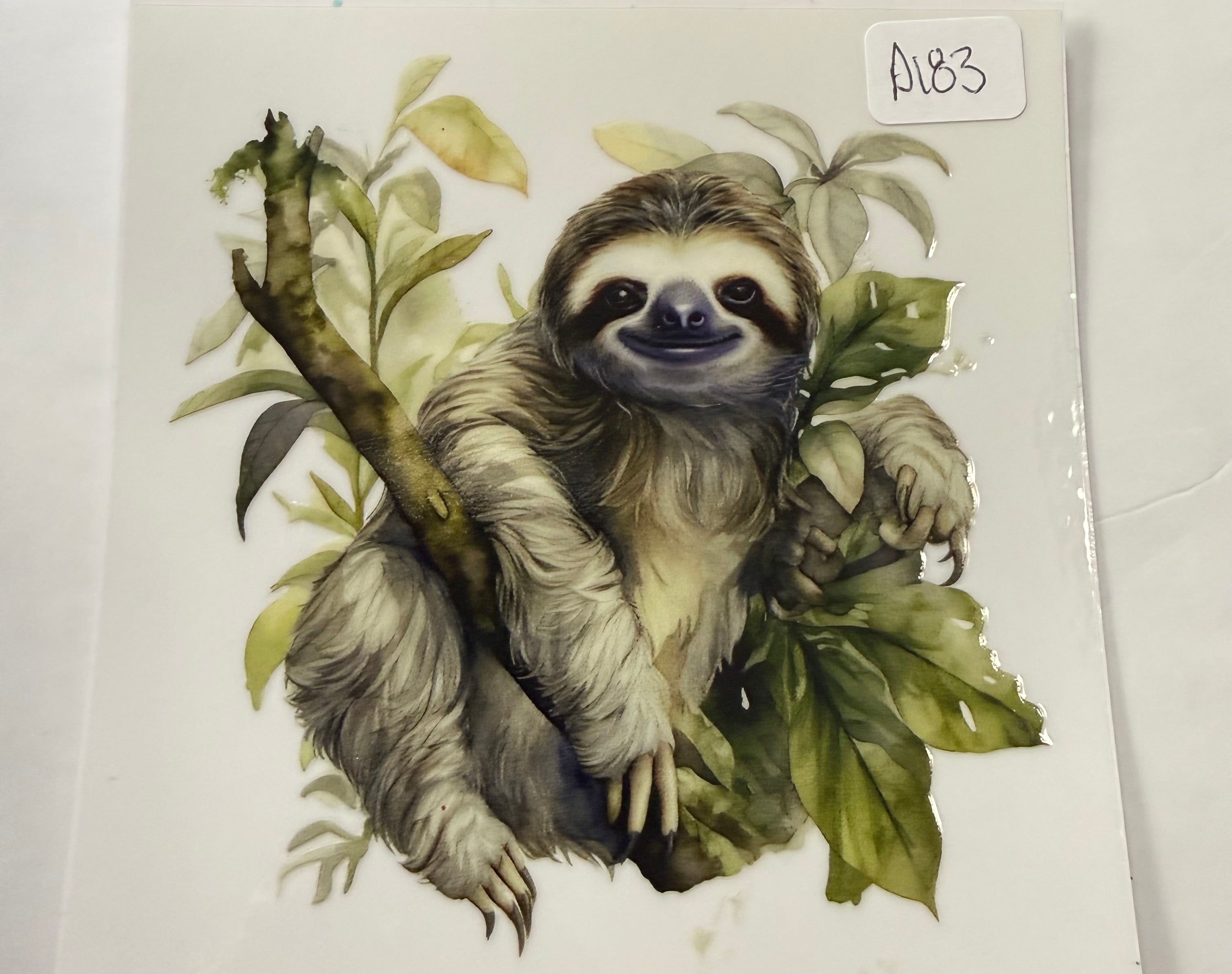 D183 sloth