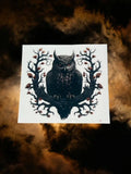 40 Owl