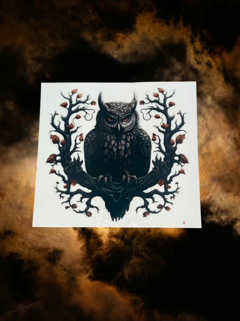 40 Owl