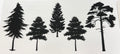 462 Trees