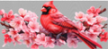 51 Bird