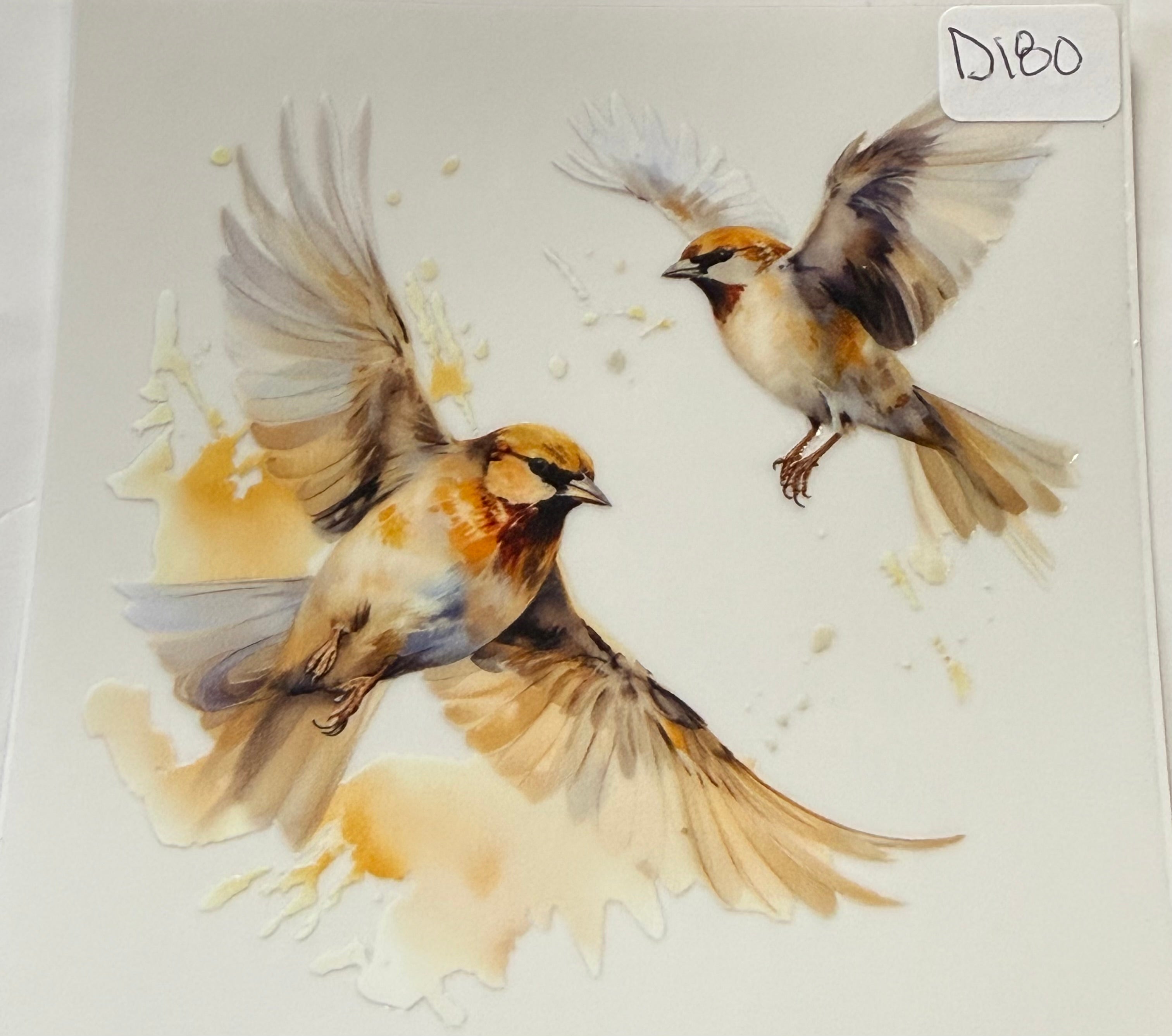 D180 birds