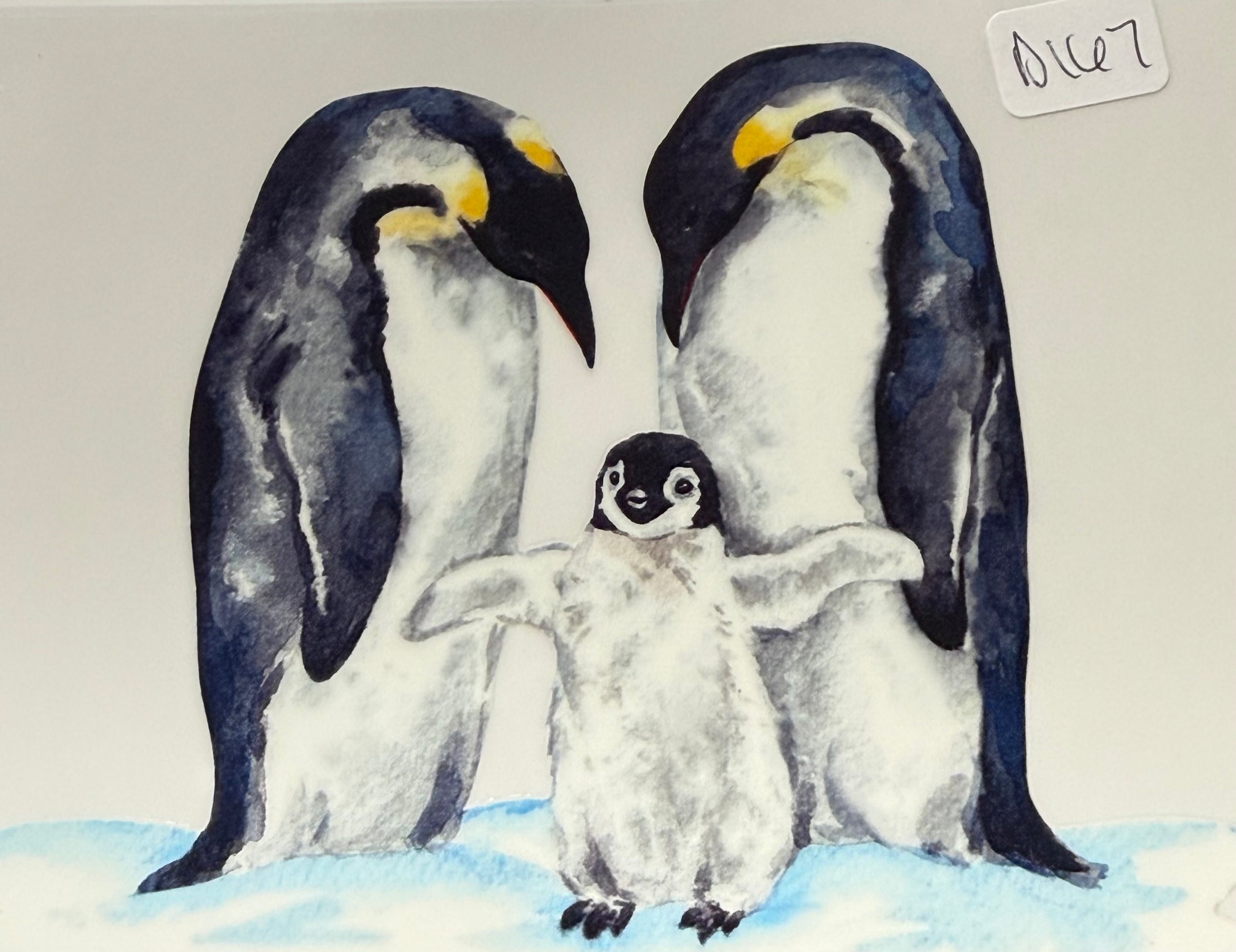 D167 penguin