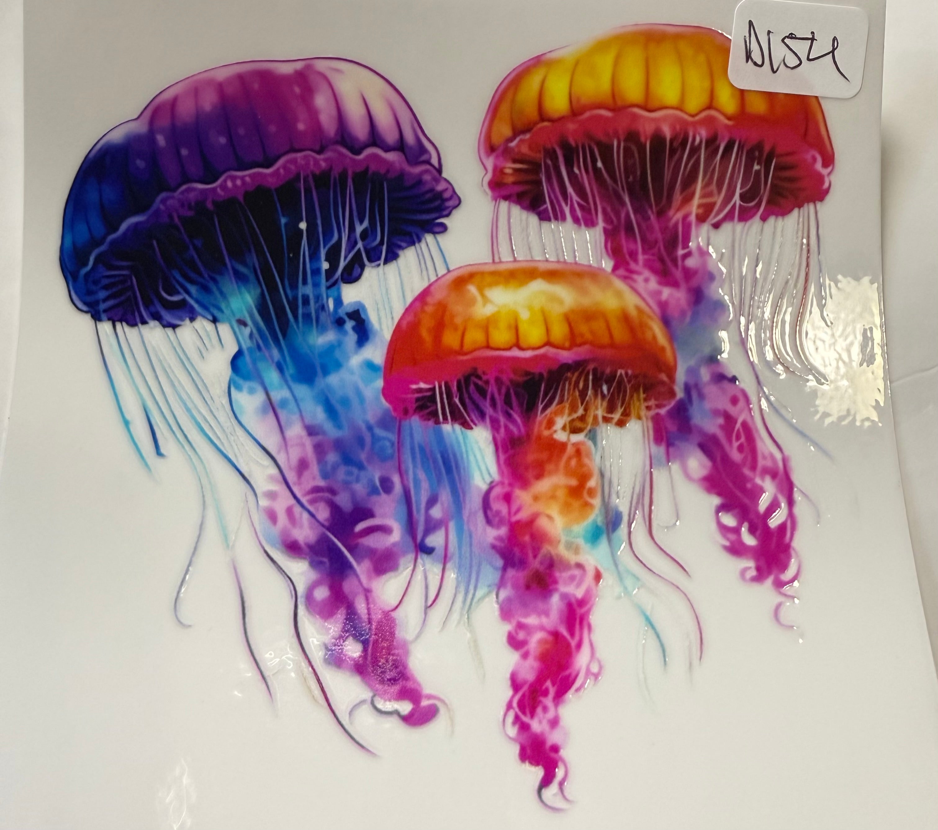 D154 jelly fish