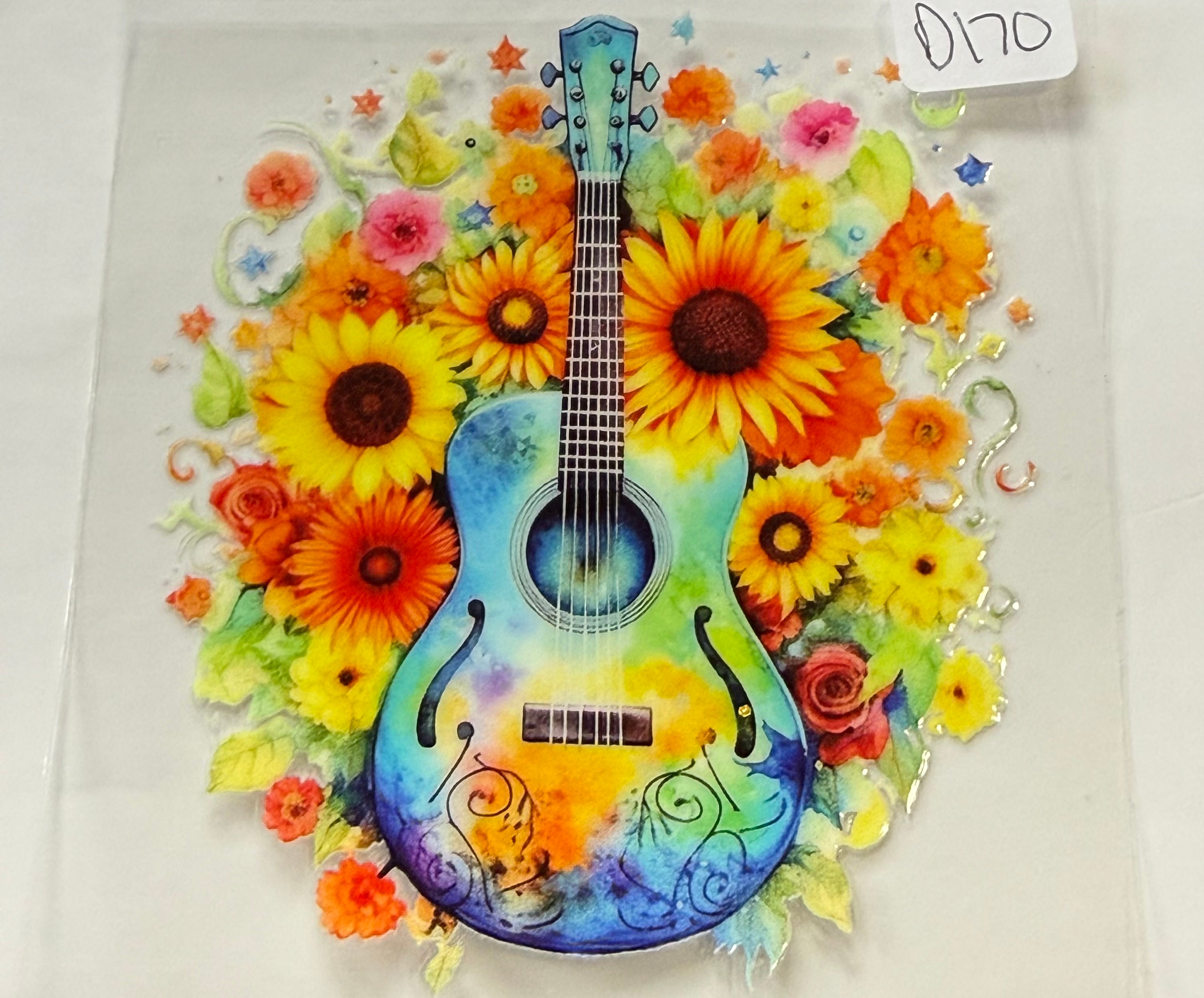 D170 guitar