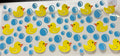 1187 ducks