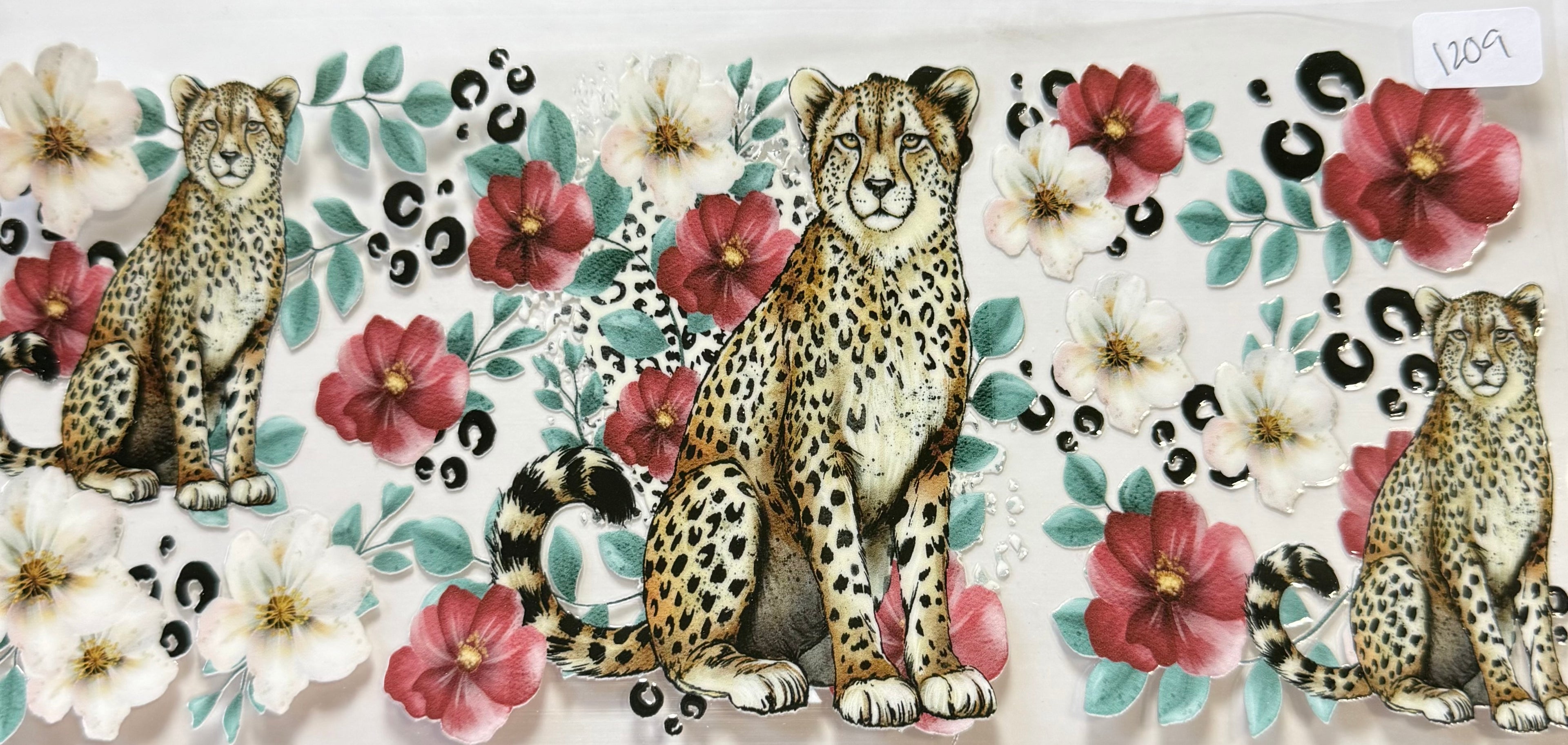 1209 cheetah
