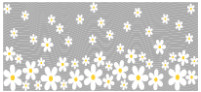 77 Flowers