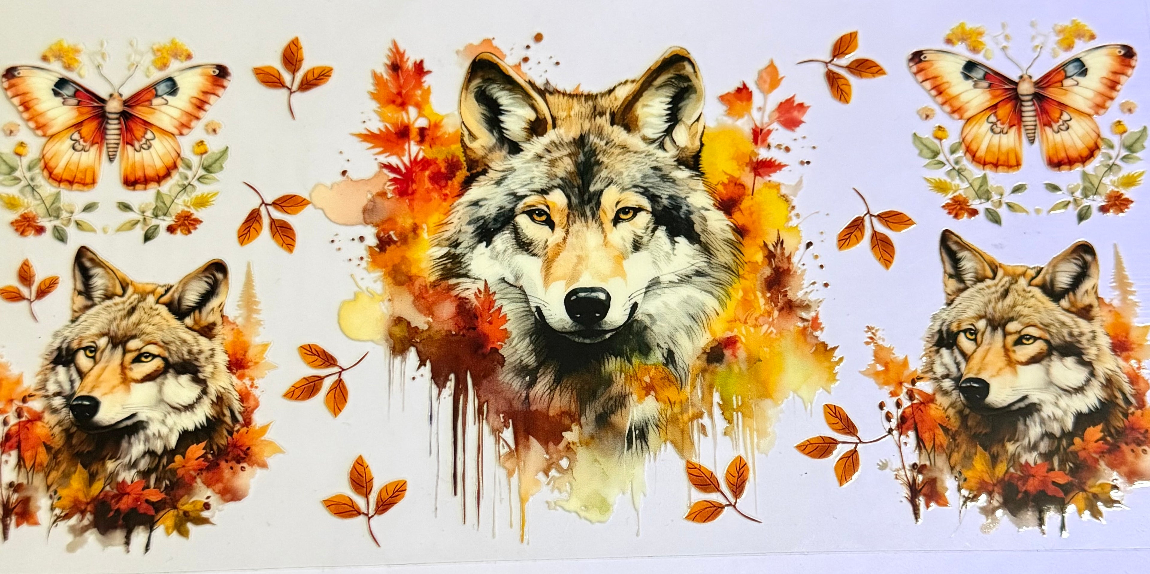 262 Wolf