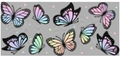 78 Butterfly