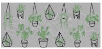 82 Plants