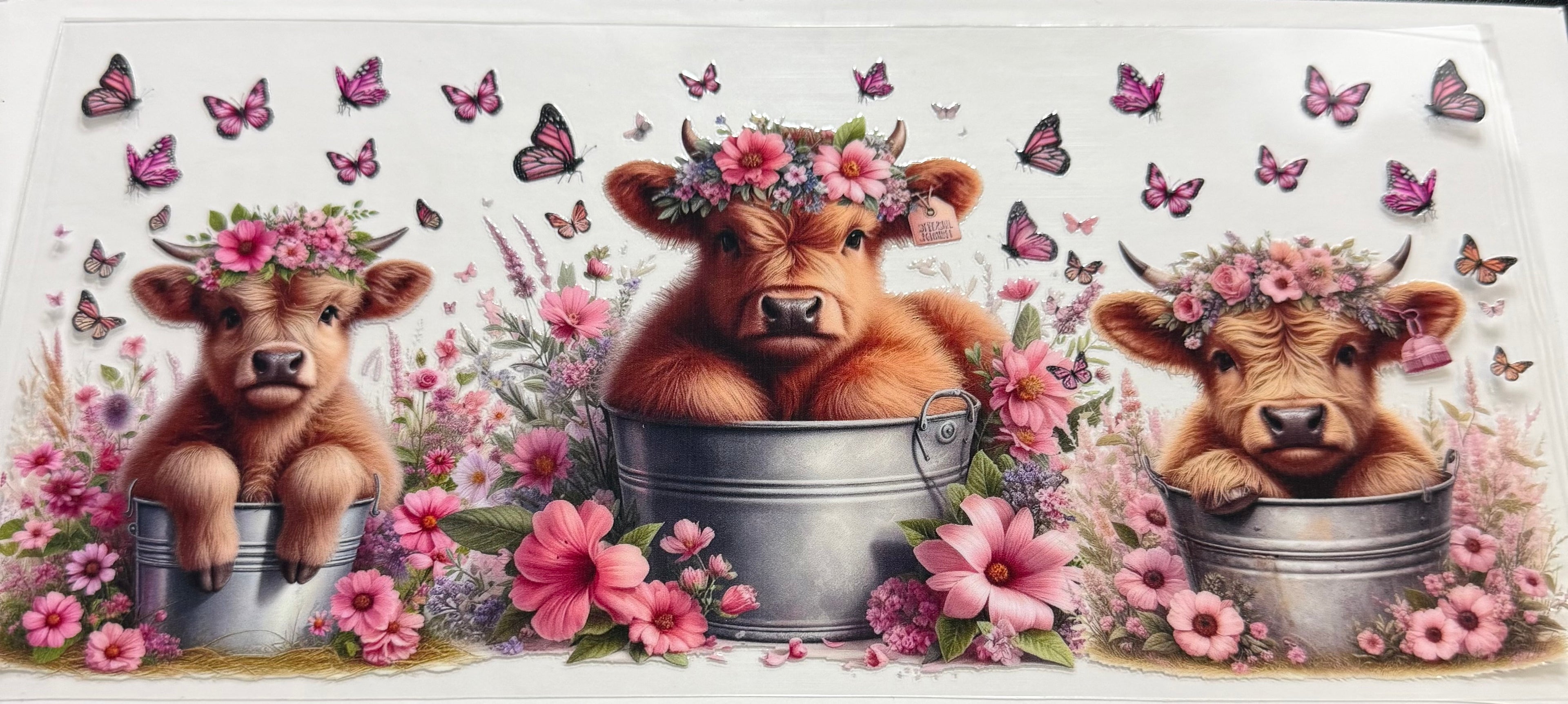 353 Cow