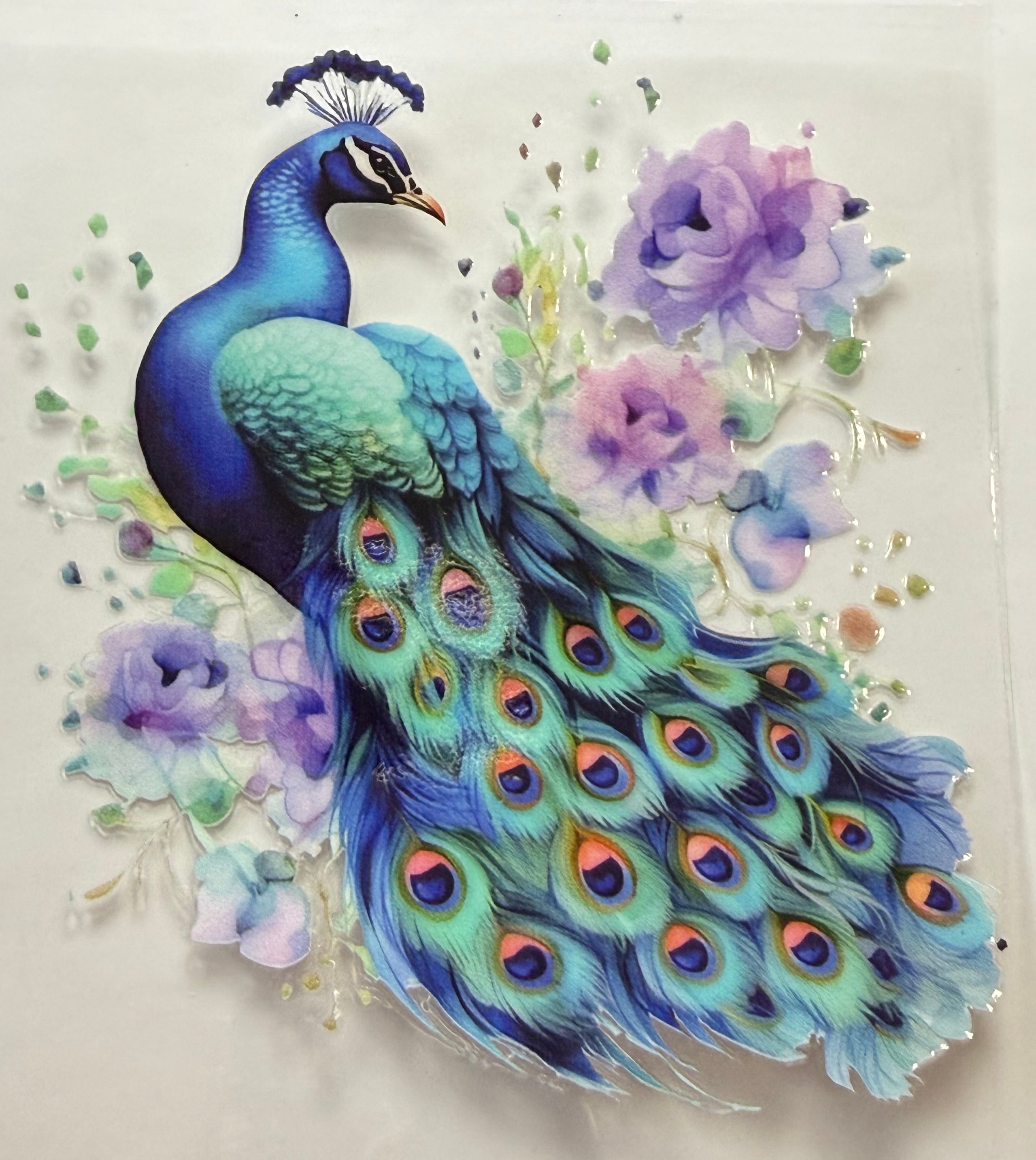 478 Peacock