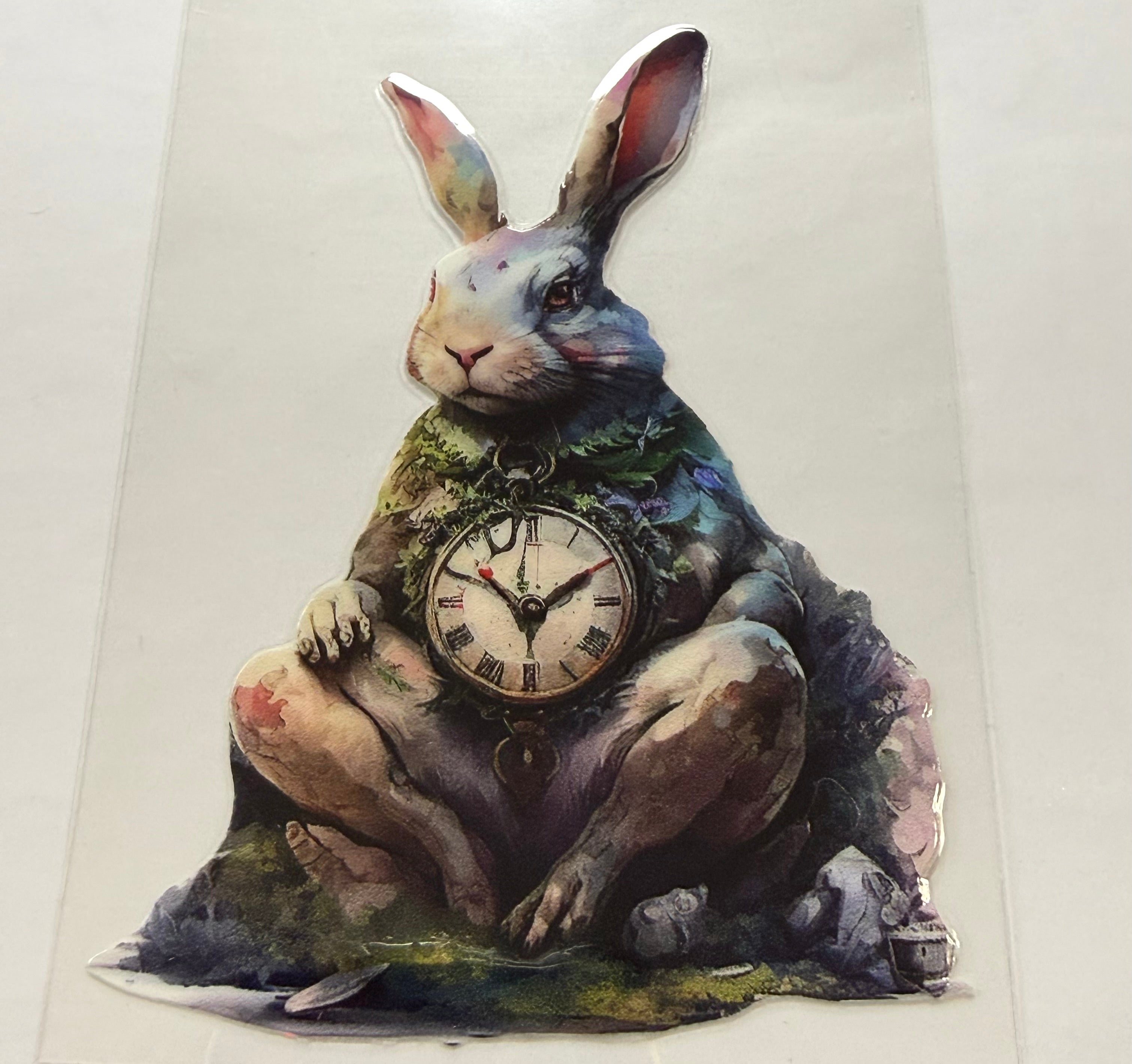 513 Alice rabbit
