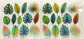 D135 leaves