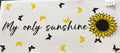 566 My only sunshine sunflower