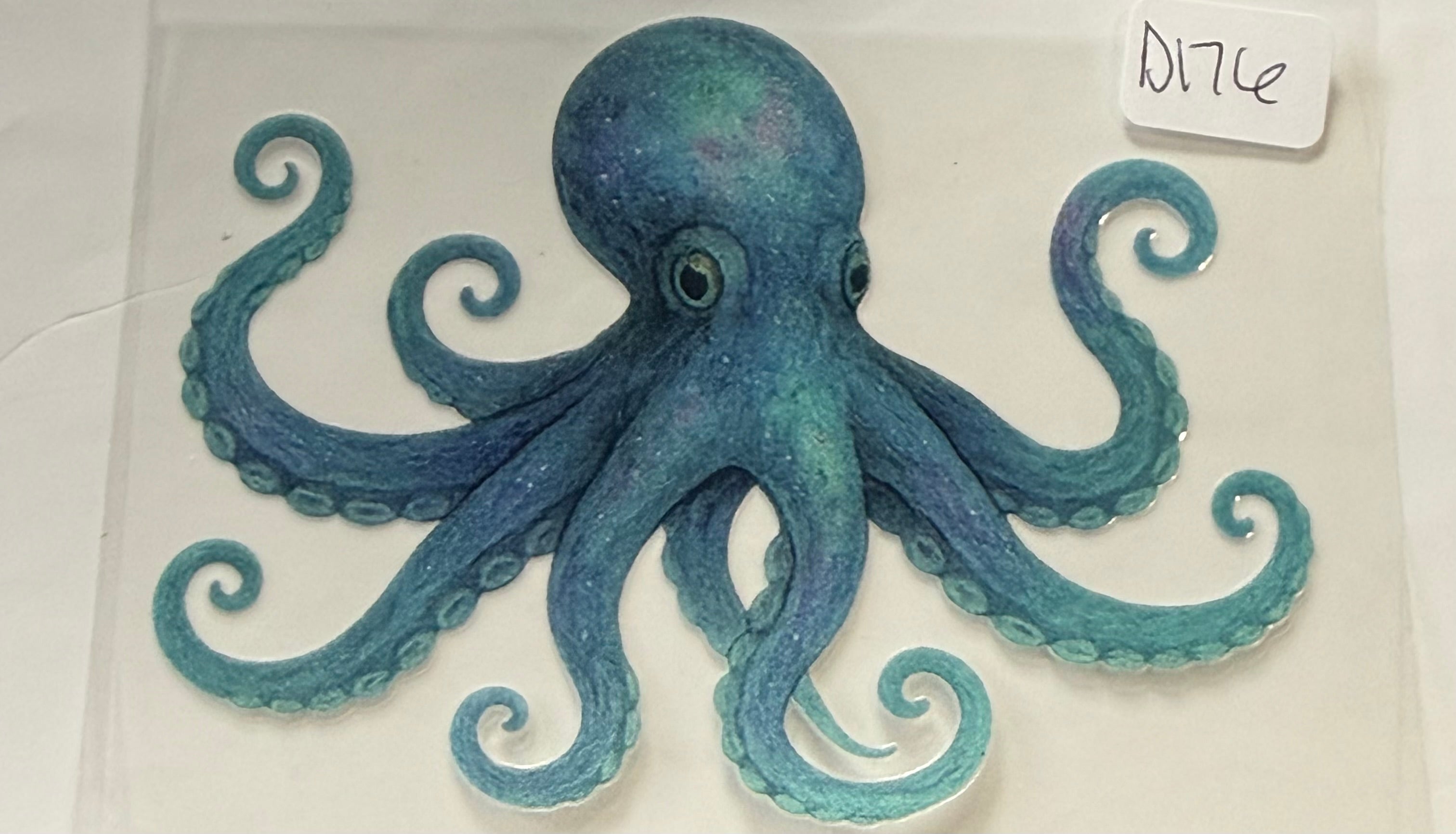 D176 octopus