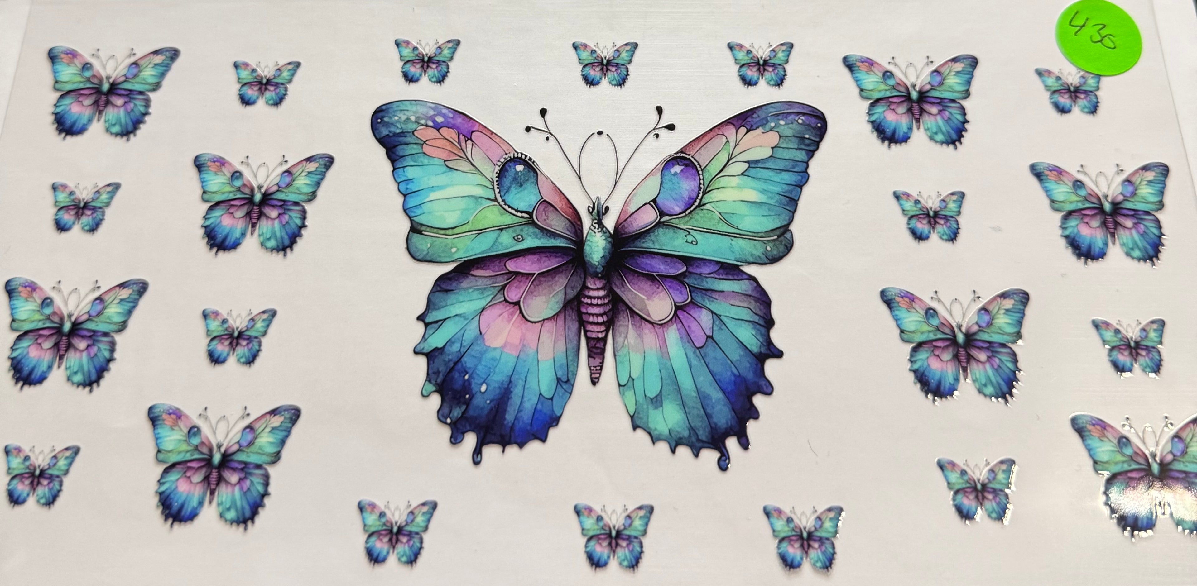 430 Butterfly