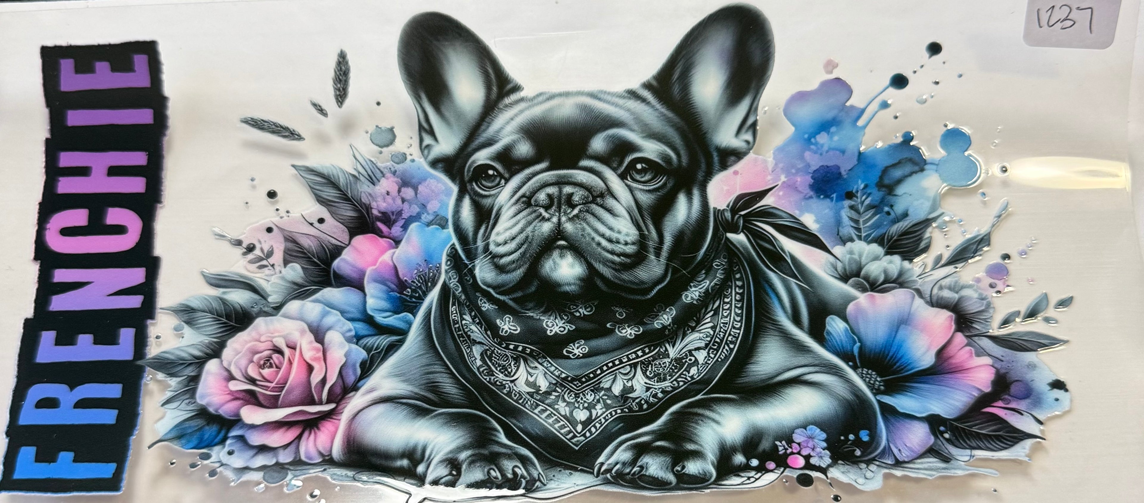 1237 dog