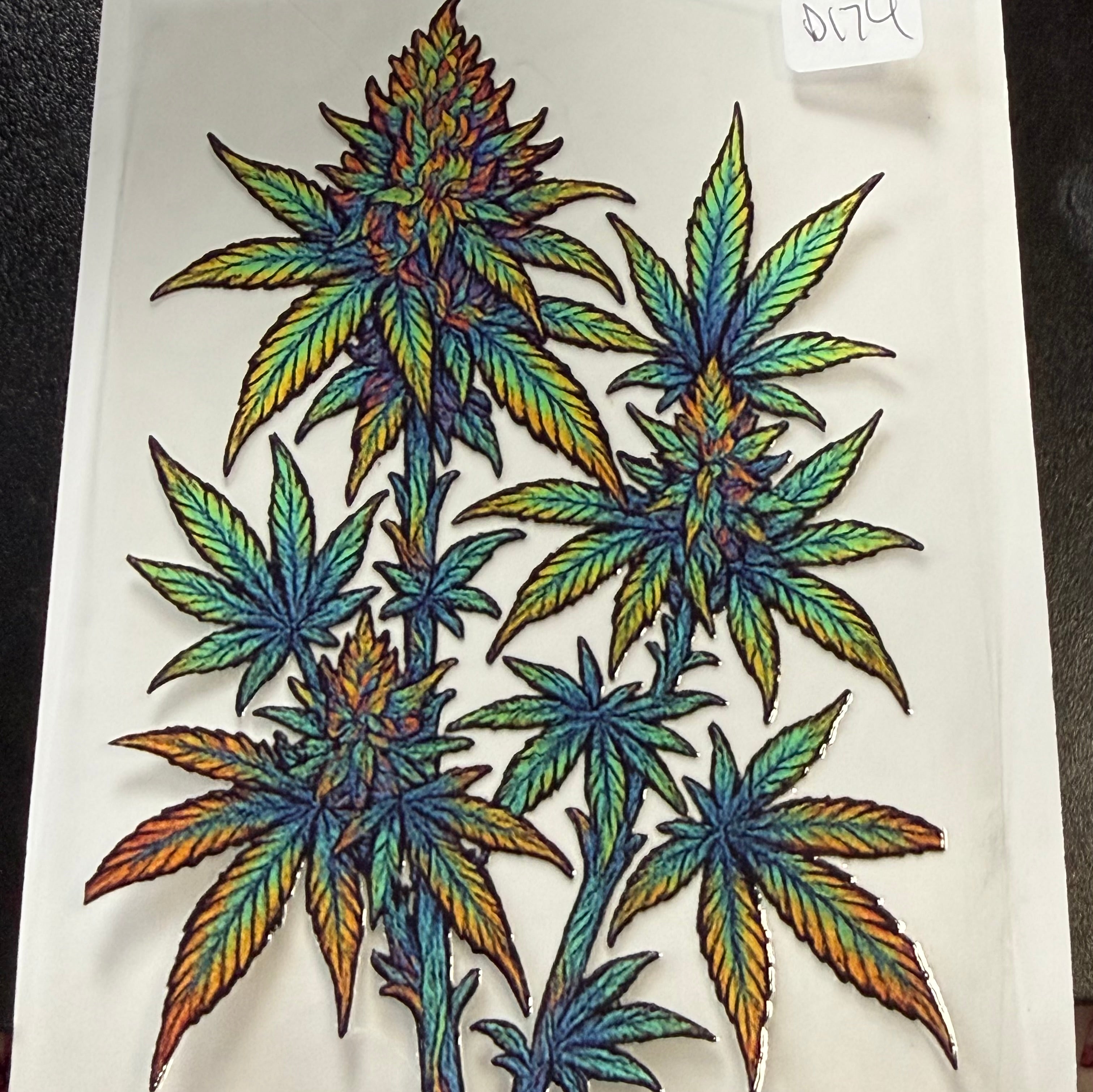 D174 plant