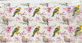 564 Birds