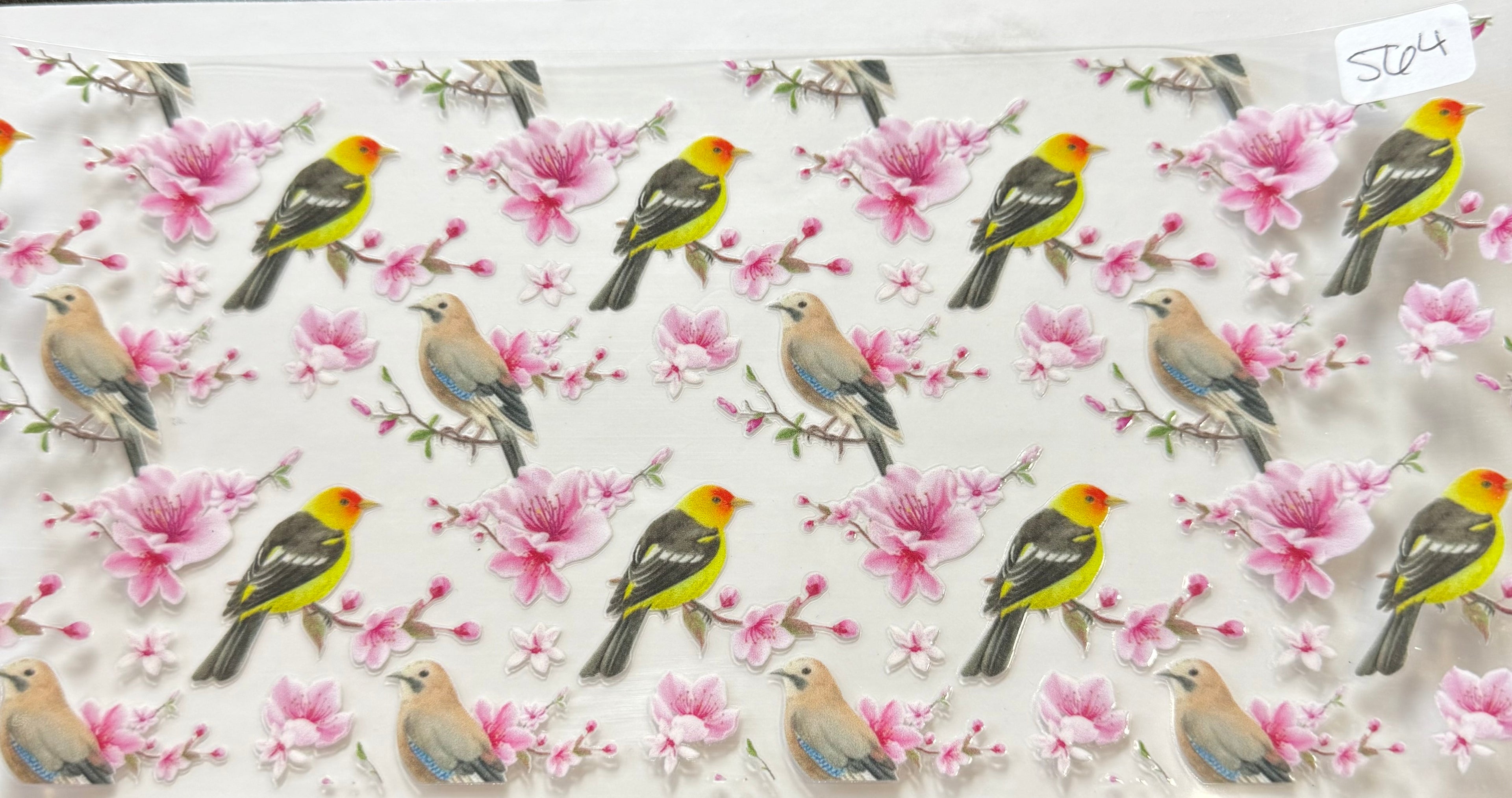 564 Birds