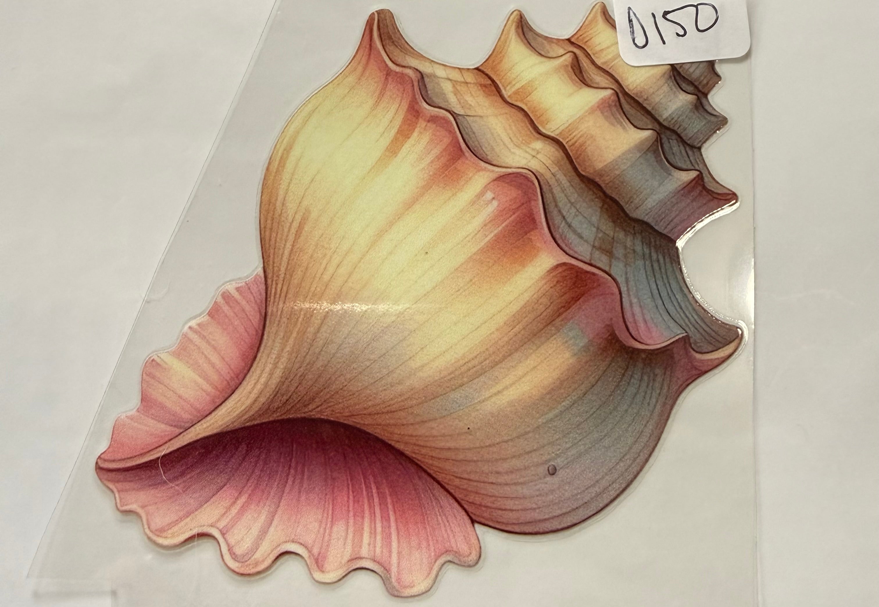 D150 shell