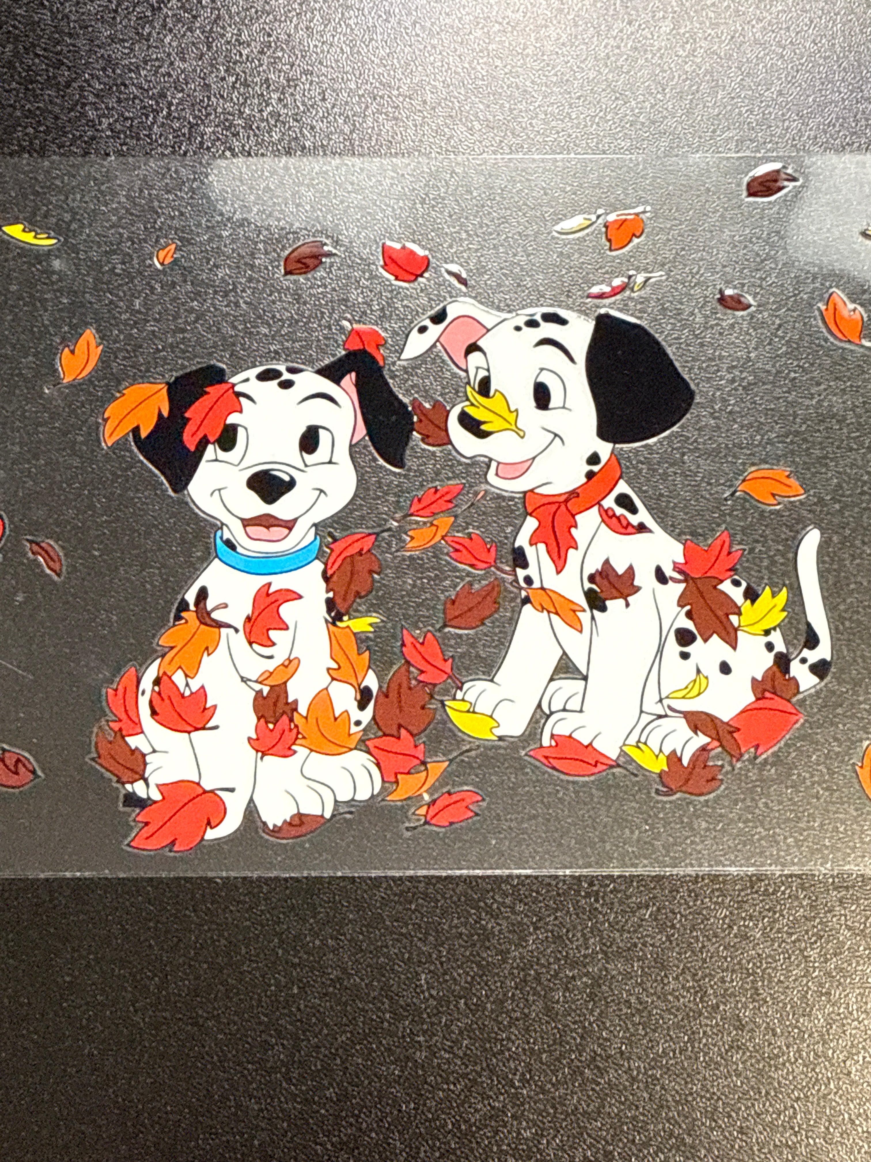 331 Dalmatian