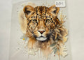 D184 cheetah