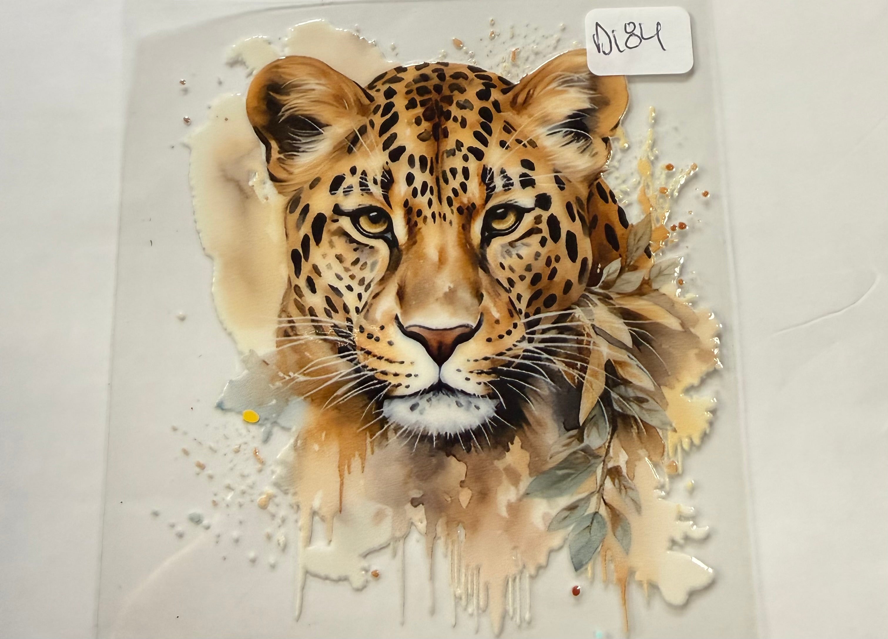 D184 cheetah