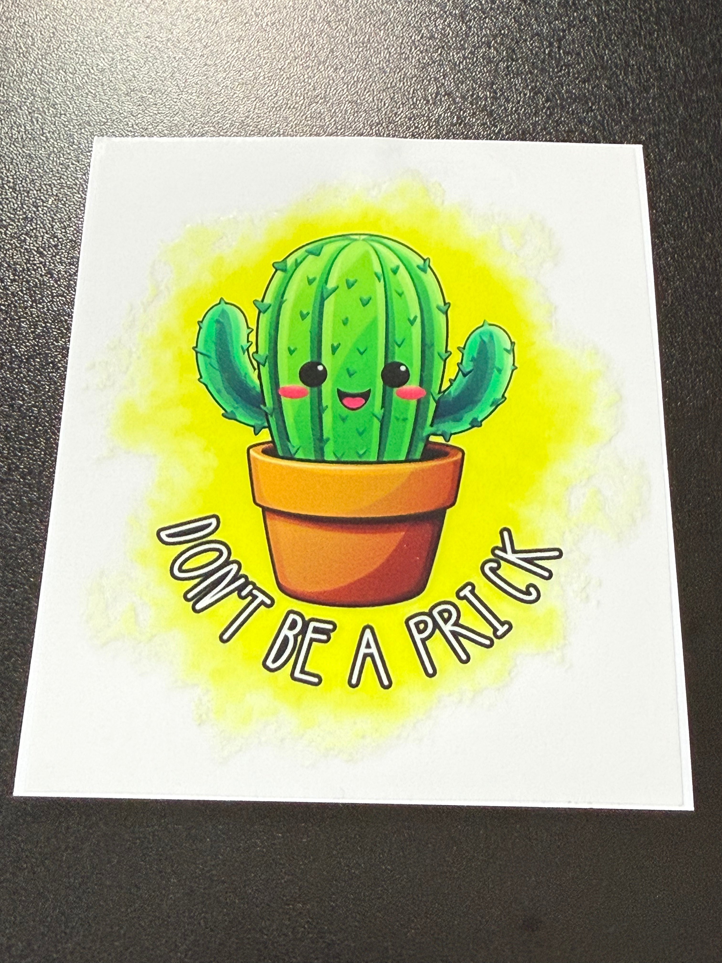 251 Cactus