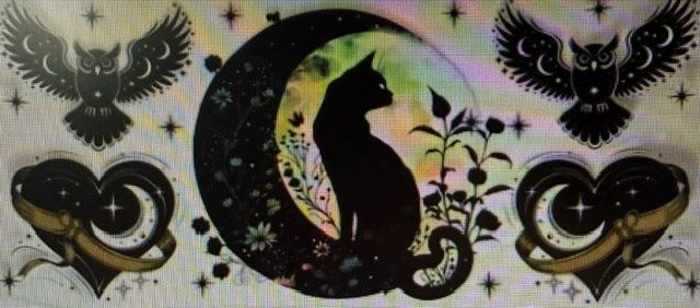 552 black cat