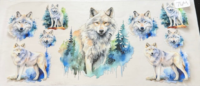 764 Wolf