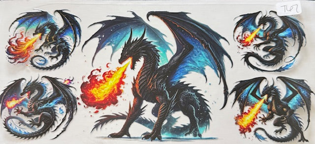 767 Dragon