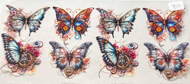 817 Butterfly