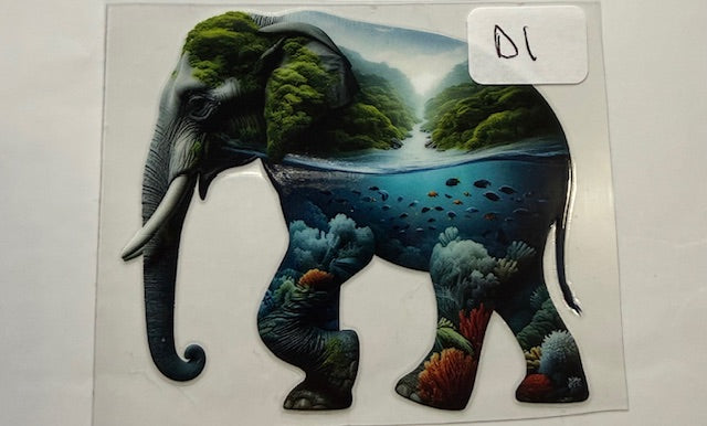 D1 elephant