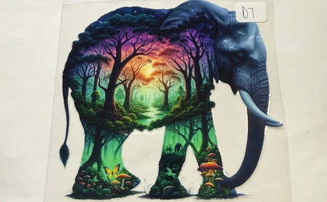 D7 Elephant