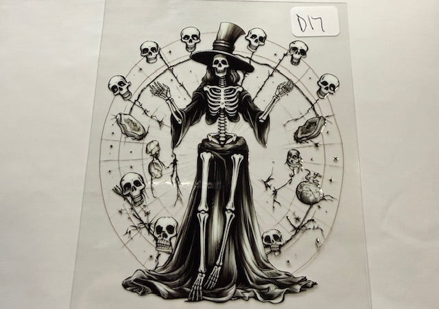D17 skull